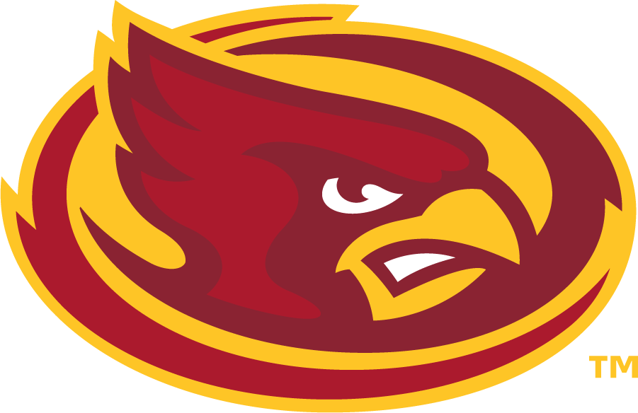 Iowa State Cyclones 2008-Pres Secondary Logo v3 diy DTF decal sticker